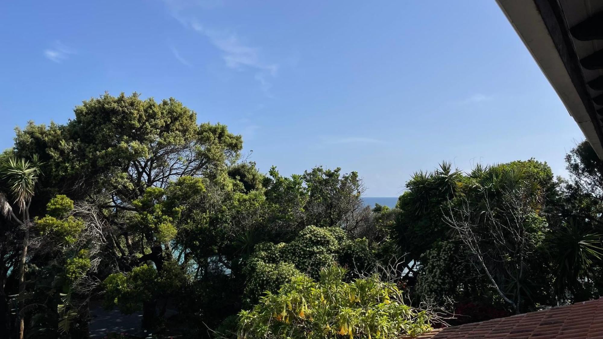 Alonaki Bay Apartment Halikounas Ngoại thất bức ảnh